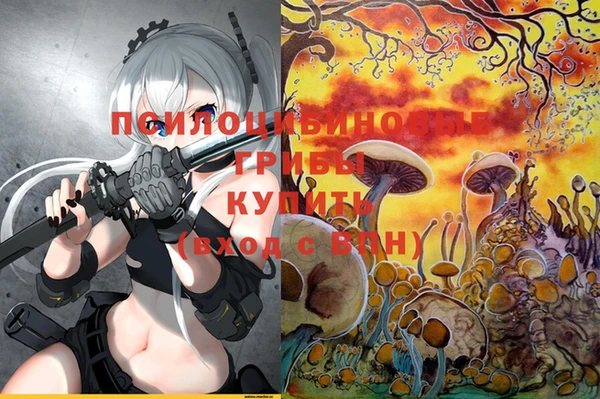 ГАЛЛЮЦИНОГЕННЫЕ ГРИБЫ Алзамай