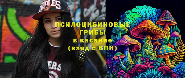 ГАЛЛЮЦИНОГЕННЫЕ ГРИБЫ Алзамай