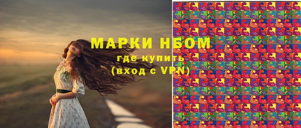 ГАЛЛЮЦИНОГЕННЫЕ ГРИБЫ Алзамай