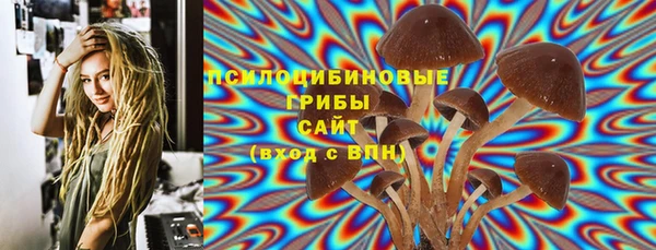 первитин Алексин