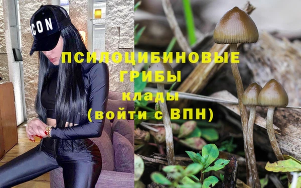 первитин Медвежьегорск